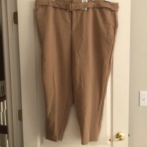 Torrid Trousers